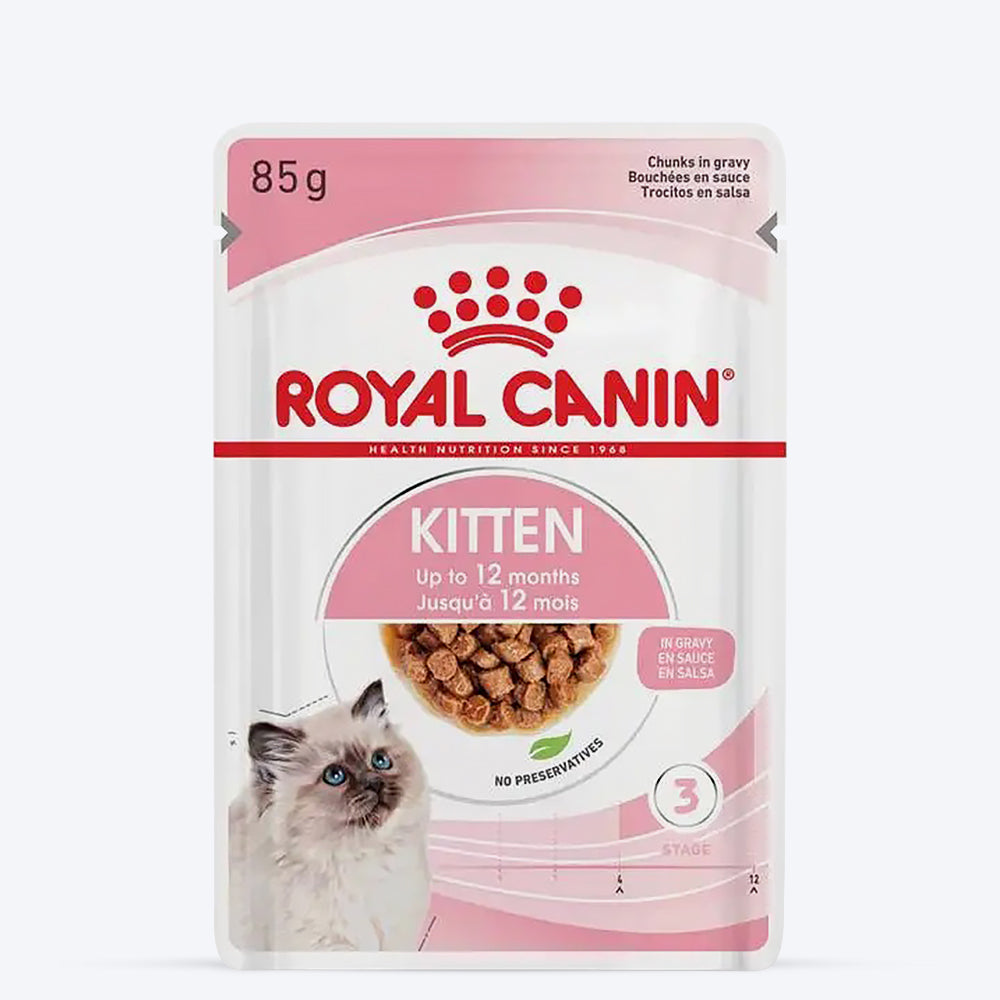 Royal Canin Wet Food & HUFT ScratchVille Scratcher Play Combo : Kitten Joy - (48 x 85g) - Heads Up For Tails