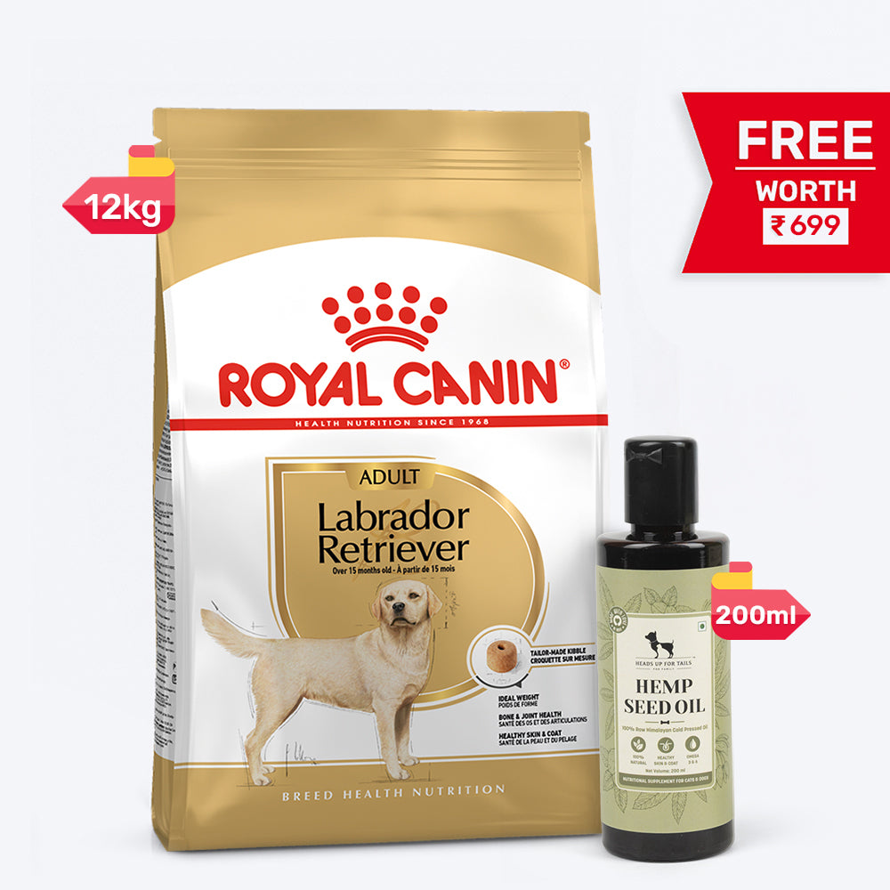 Royal Canin Labrador Retriever Adult Dry Dog Food - Heads Up For Tails