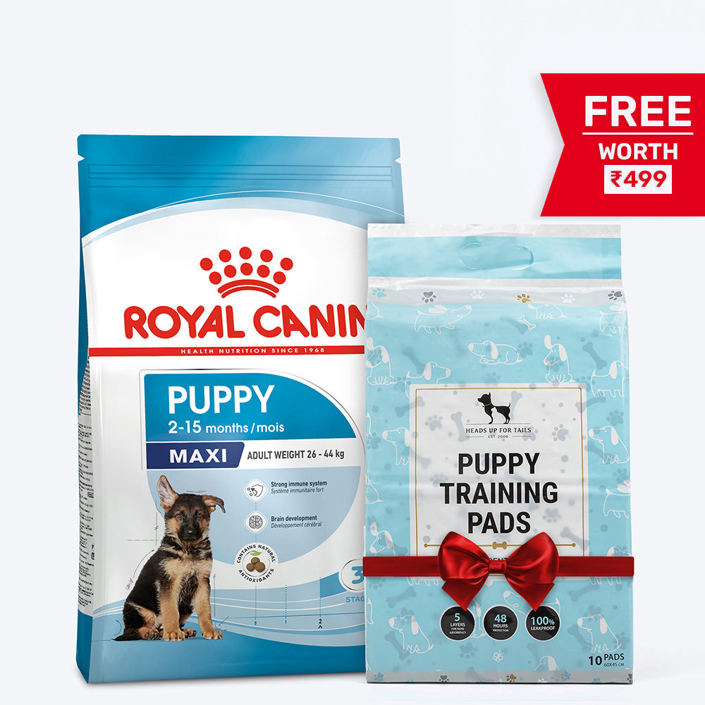 Royal Canin Maxi Puppy Dry Dog Food
