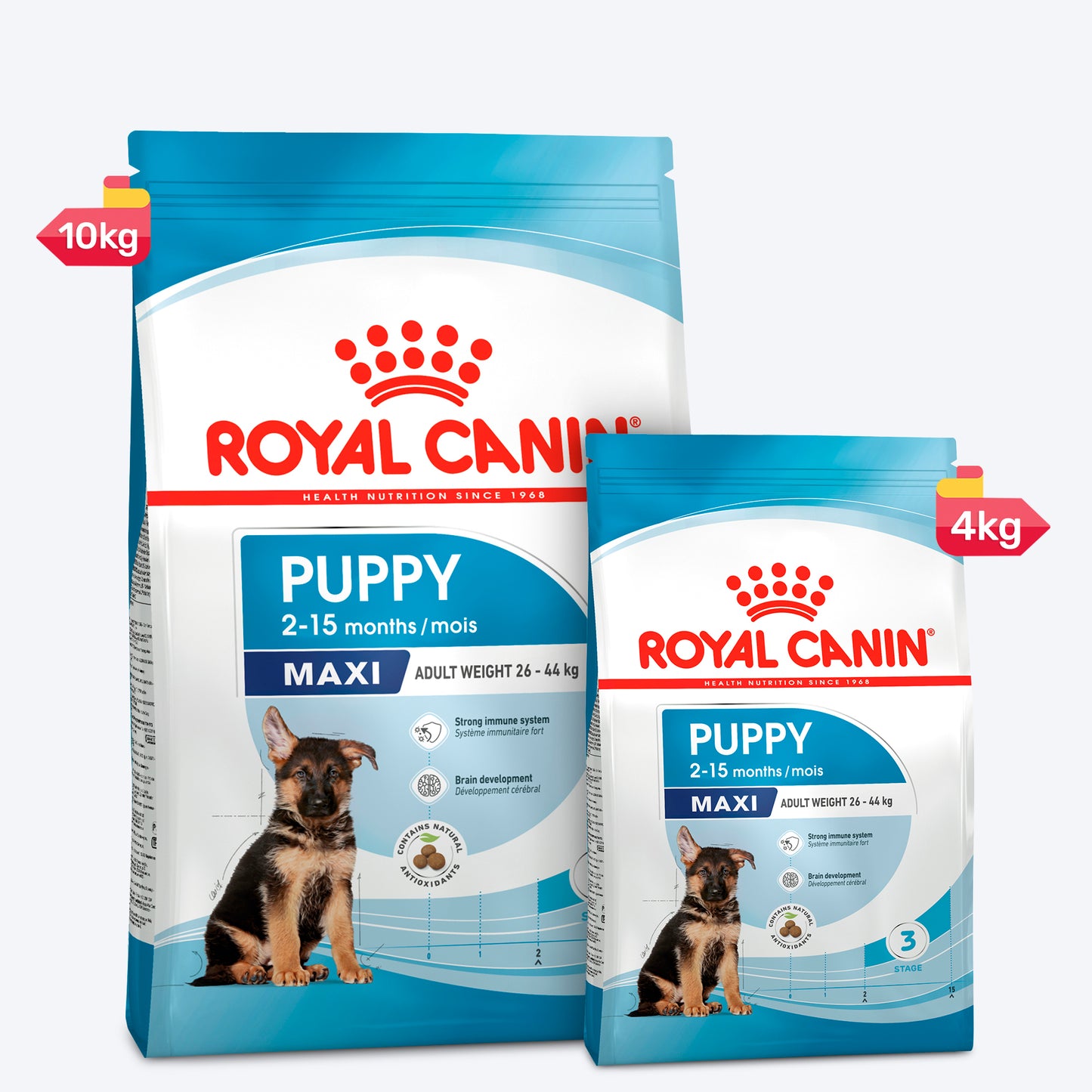 Royal Canin Maxi Puppy Dry Dog Food - Heads Up For Tails