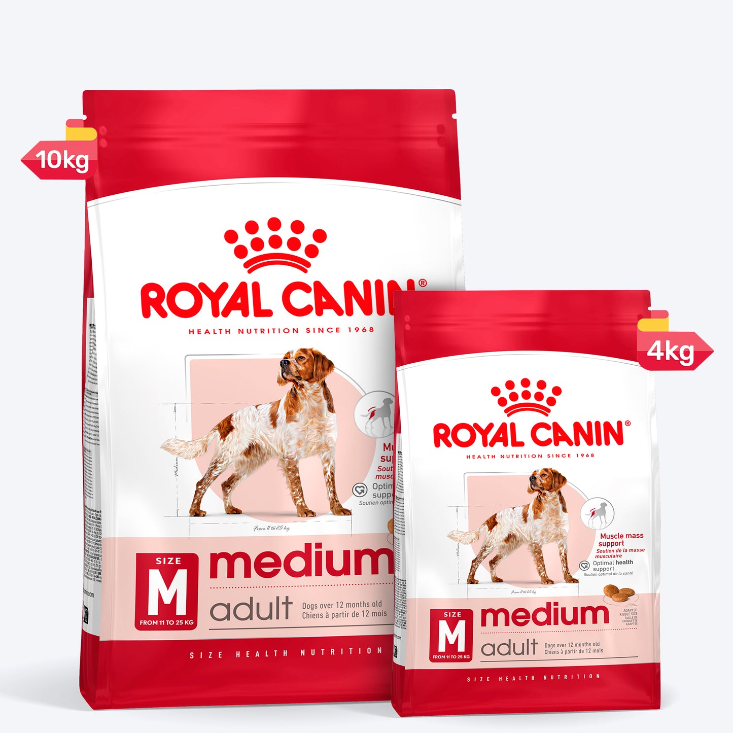 Royal Canin Medium Adult Dry Dog Food - Heads Up For Tails