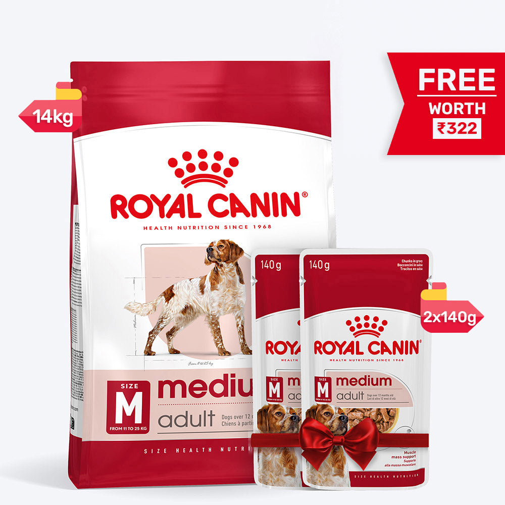 Royal Canin Medium Adult Dry Dog Food - Heads Up For Tails