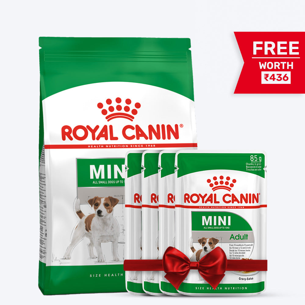 Royal Canin Mini Adult Dry Dog Food