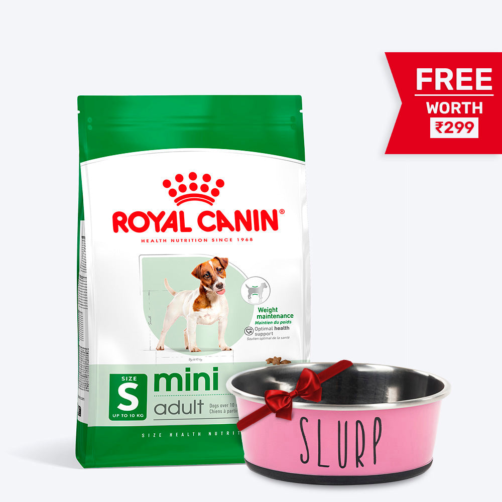 Royal Canin Mini Adult Dry Dog Food