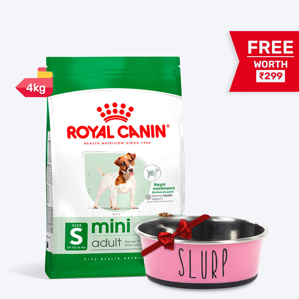 Royal Canin Mini Adult Dry Dog Food - Heads Up For Tails
