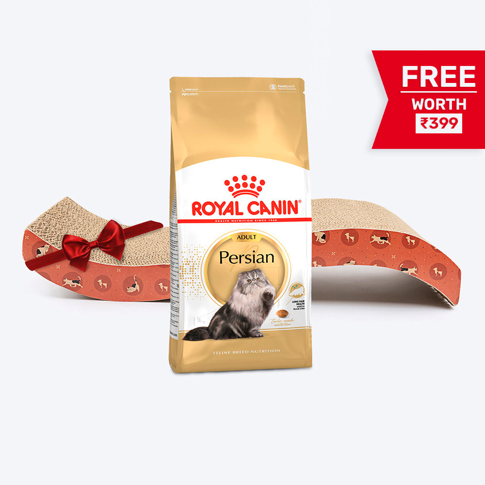 Royal Canin Persian Adult Dry Cat Food - Heads Up For Tails