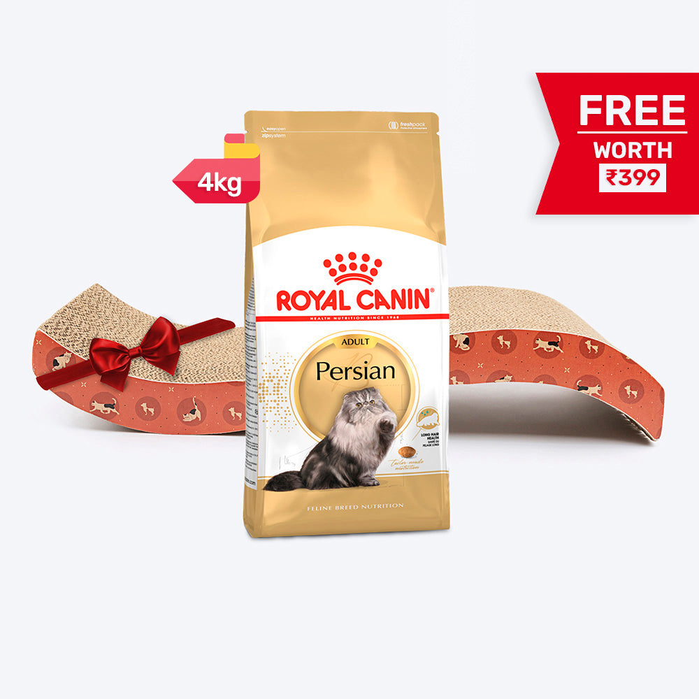 Royal Canin Persian Adult Dry Cat Food