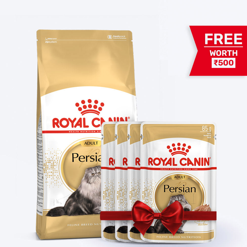 Royal Canin Persian Adult Dry Cat Food - Heads Up For Tails