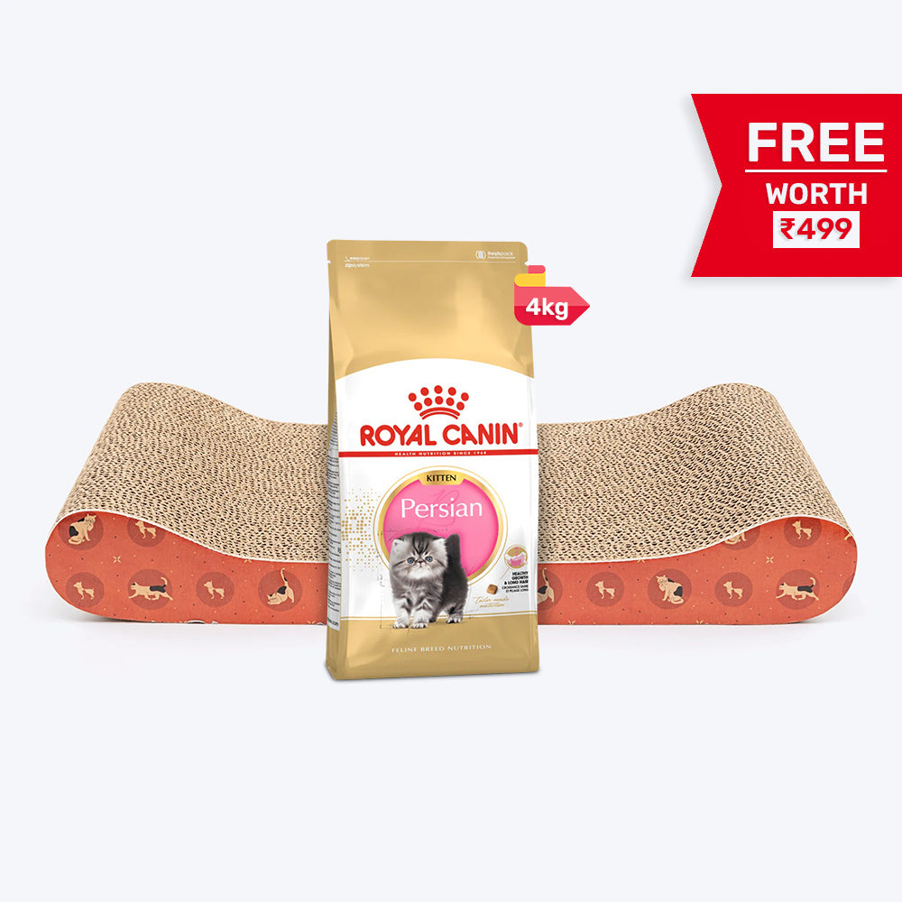 Royal Canin Persian Kitten Dry Cat Food