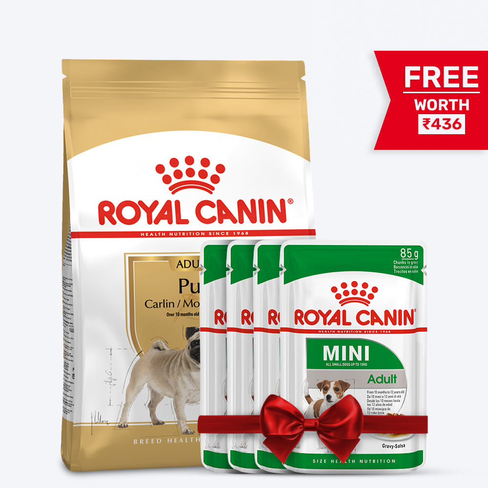 Royal Canin Pug Adult Dry Dog Food - Heads Up For Tails