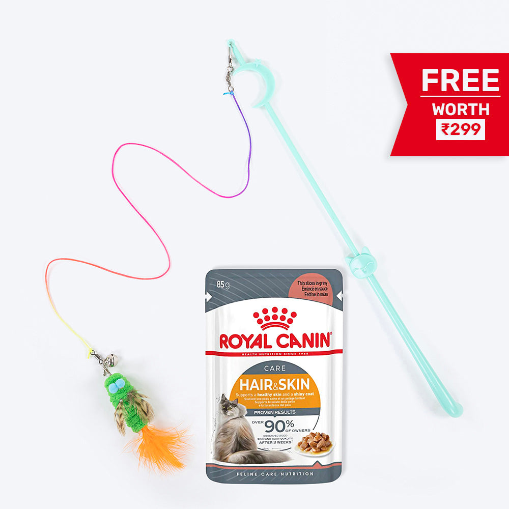 Royal Canin Hair & Skin Care In Gravy Adult Cat Wet Food - 85 g