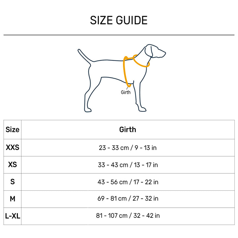Ruffwear Hi & Light Dog Harness - Blue Atoll - Heads Up For Tails