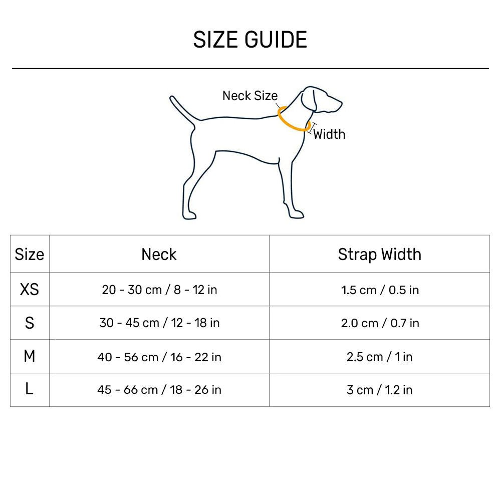 HUFT Misfit Meadow Printed Dog Collar - Purple_09