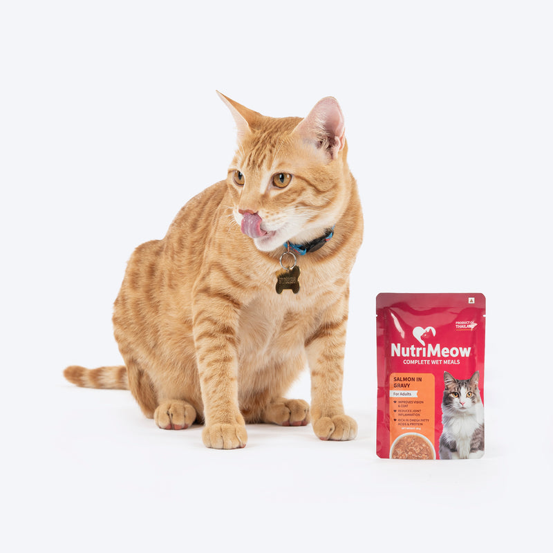 NutriMeow Adult Cat Trial Pack - Ocean Fish, Chicken, Salmon in Gravy & Tuna in Jelly - (4 x 80 gm) - Heads Up For Tails