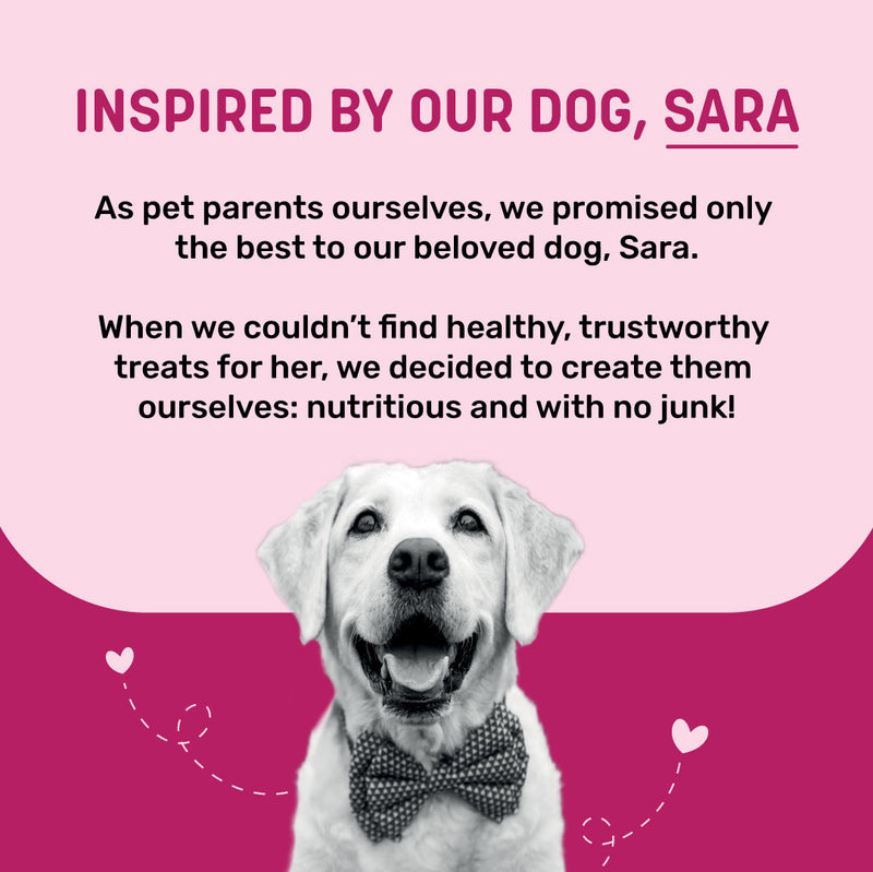 Sara's Doggie Treats Dehydrated Lamb Jerky, 70 g, high protein, low fat, all-natural, grain-free dog treats.