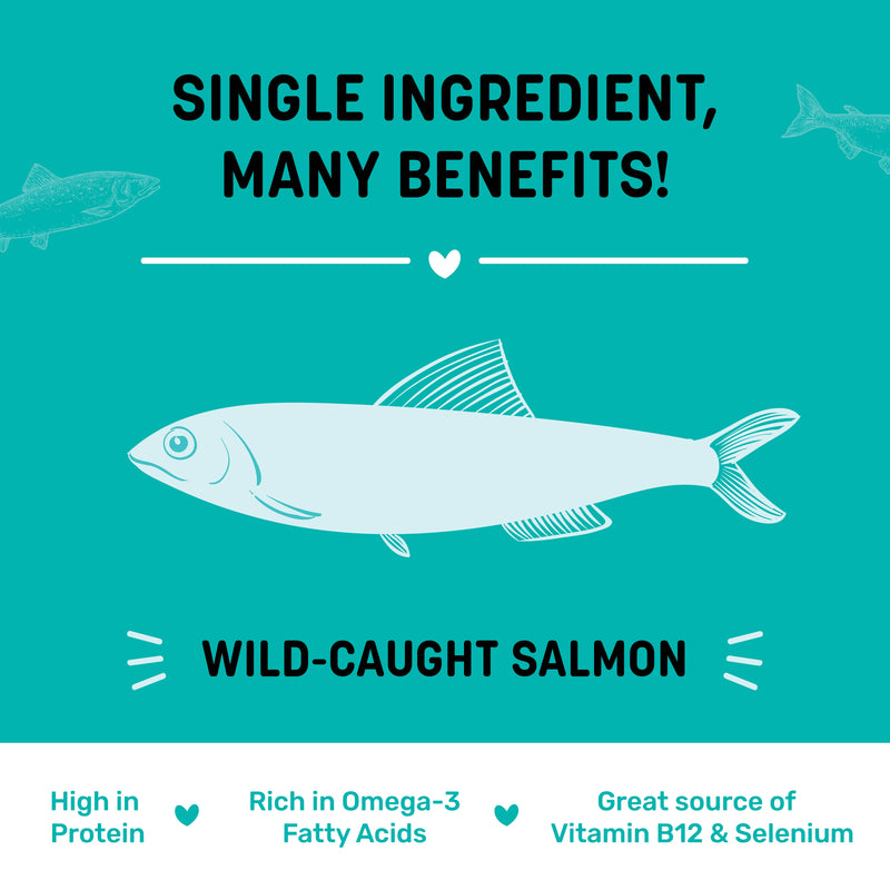 Sara's Doggie Treats Dehydrated Salmon Jerky, 70 gm, features a teal packaging with a smiling dog and fish illustrations.