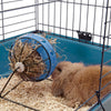 Savic Bunny Toy With Feeder - 20 cm - Heads Up For Tails