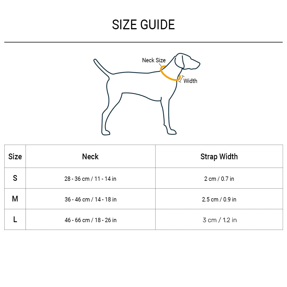 HUFT Martingale Collar For Dog - Cobalt Blue & Classic Black - Heads Up For Tails