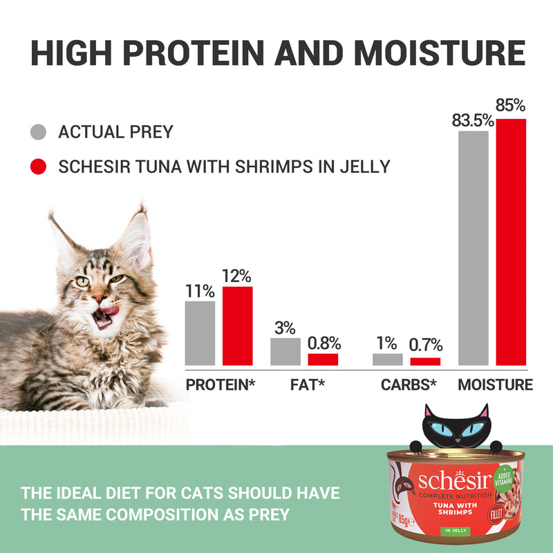 Schesir Tuna with Shrimps Wet Cat Food - 85 g - Heads Up For Tails