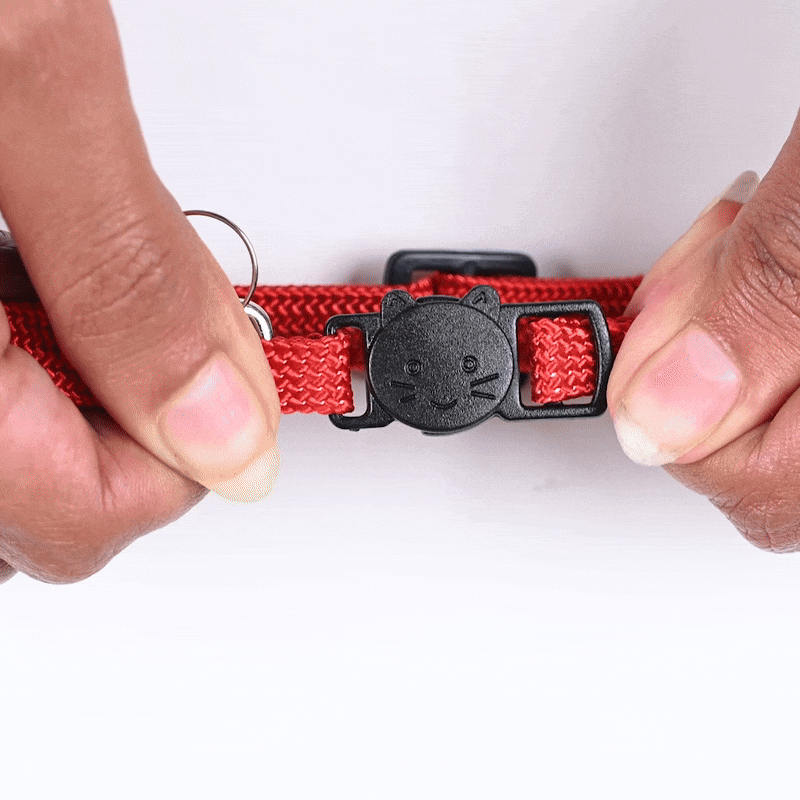 TLC Collar With Bell For Cat - Red - Heads Up For Tails