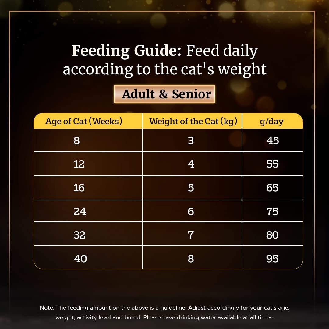 Sheba Kitten & Adult, Chicken Flavour Irresistible Dry Cat Food - Heads Up For Tails