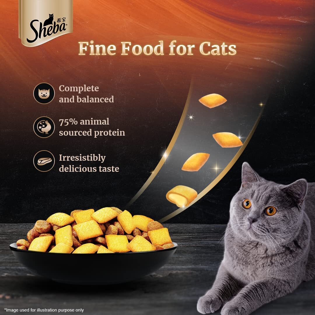 Sheba Kitten & Adult, Chicken Flavour Irresistible Dry Cat Food - Heads Up For Tails