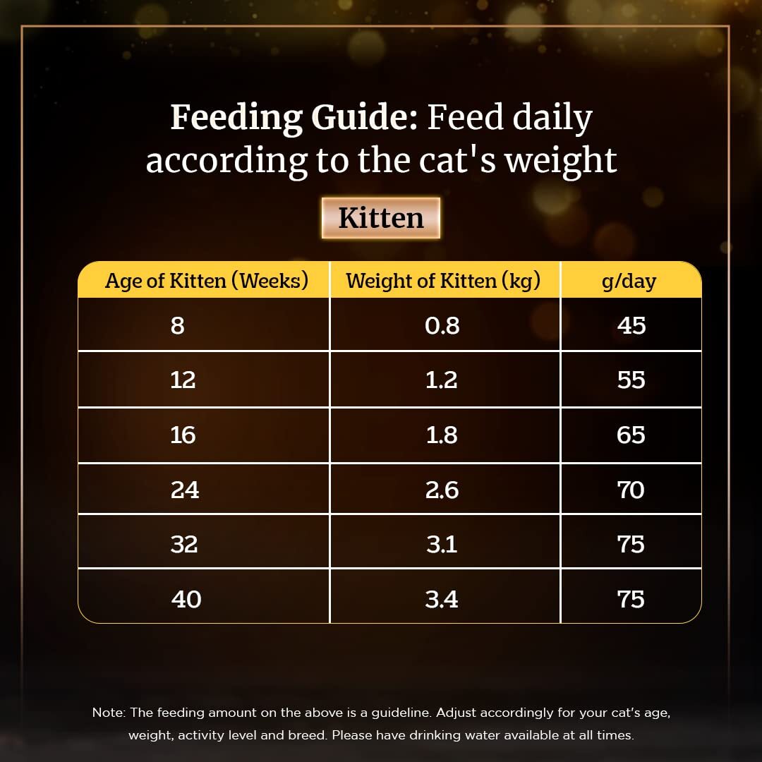 Sheba Kitten & Adult, Chicken Flavour Irresistible Dry Cat Food - Heads Up For Tails