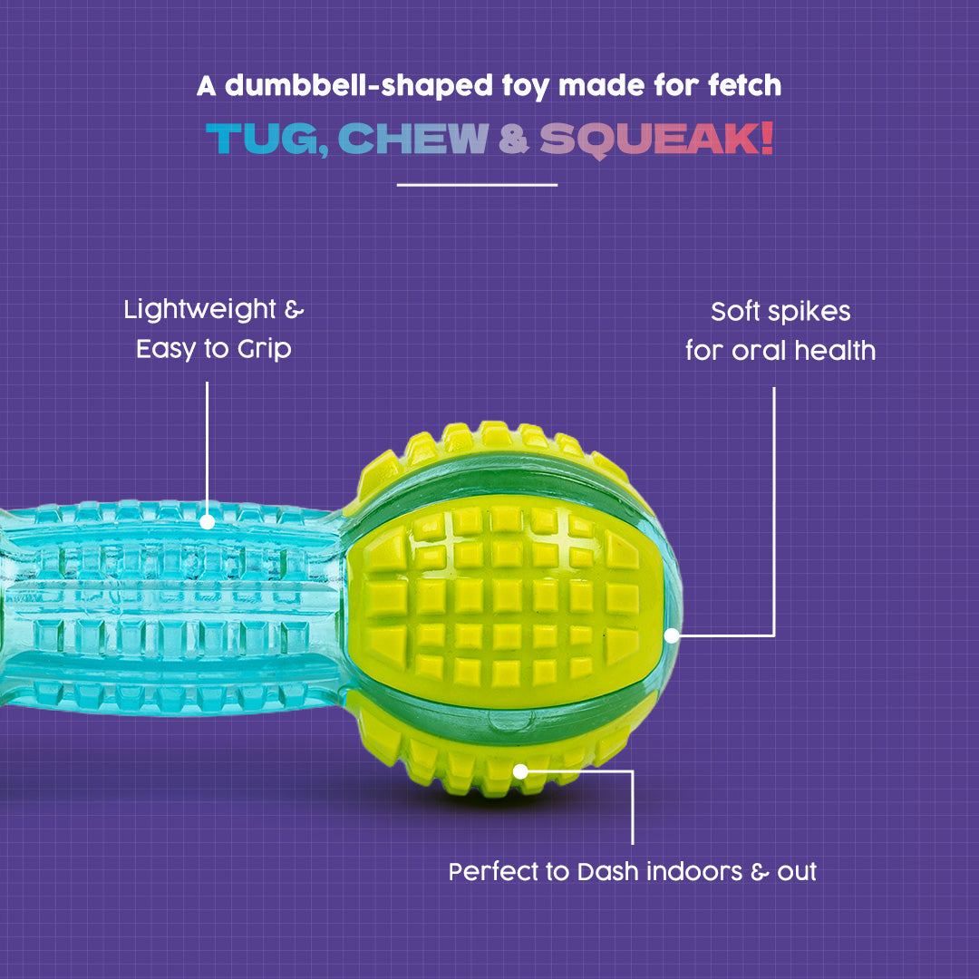 Dash Dog Gnaw & Go Squeaky Toy For Dog - Neon Green & Blue - Heads Up For Tails