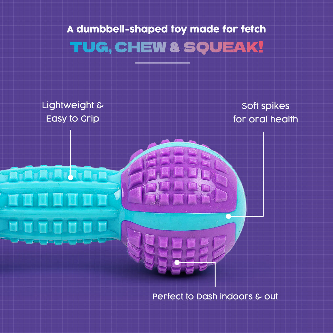 Dash Dog Gnaw & Go Squeaky Toy For Dog - Purple & Blue - Heads Up For Tails