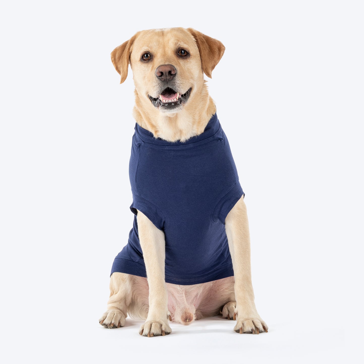 TLC Favourite Child T-Shirt For Dog - Navy Blue_02