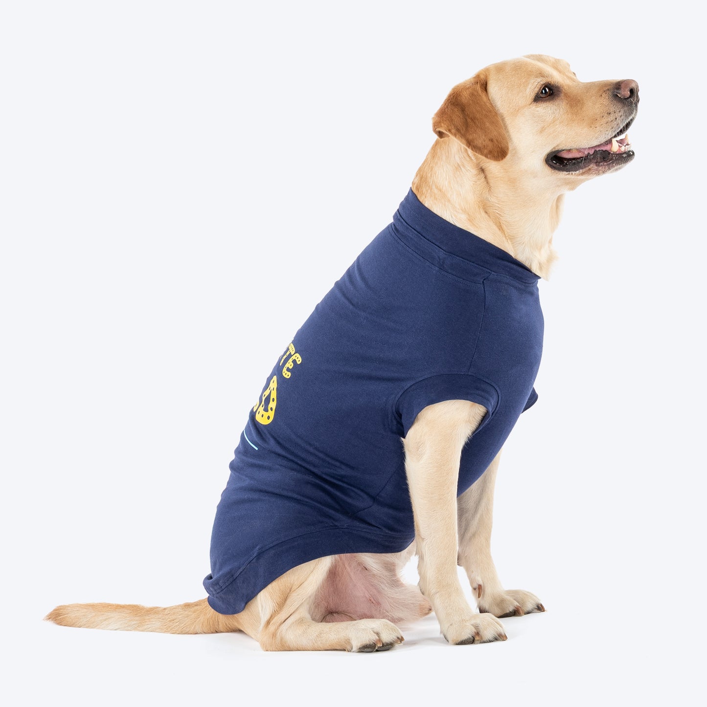 TLC Favourite Child T-Shirt For Dog - Navy Blue_03