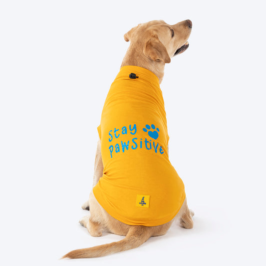 TLC Stay Pawsitive T-Shirt For Dog - Yellow_01
