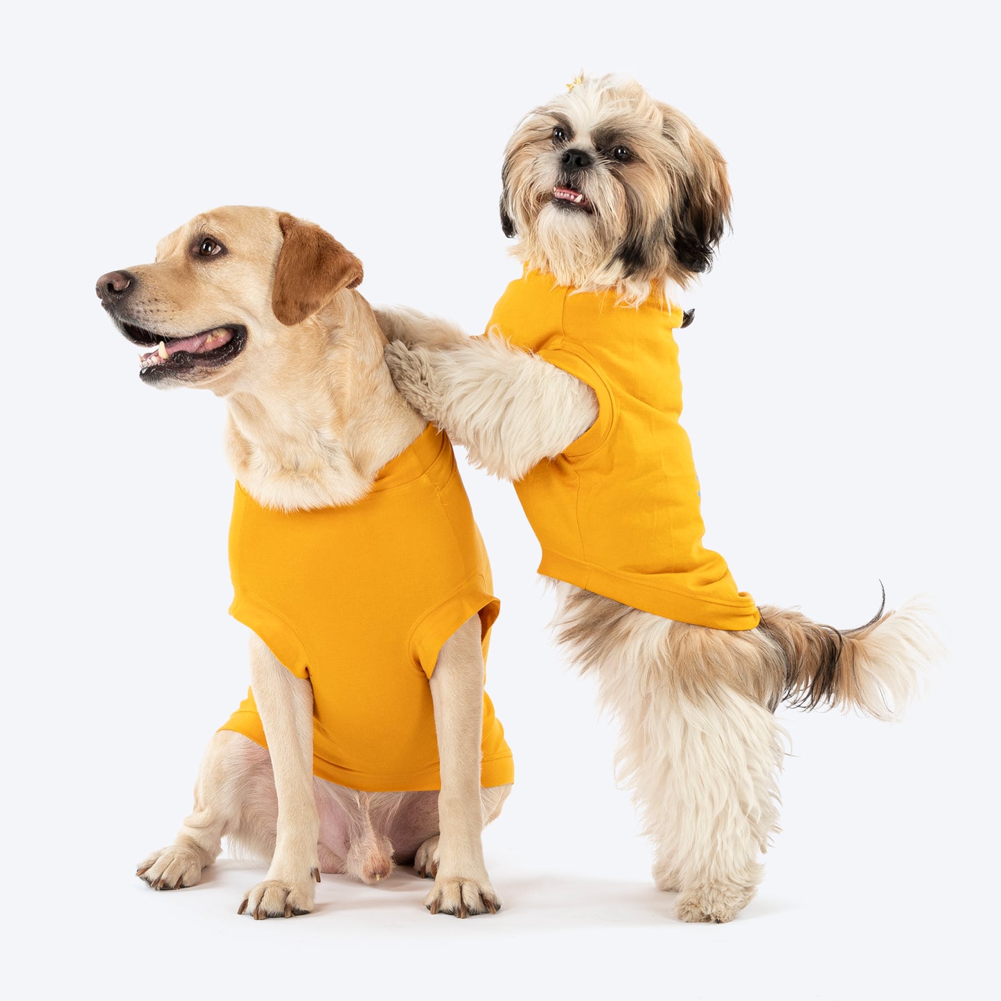 TLC Stay Pawsitive T-Shirt For Dog - Yellow_06