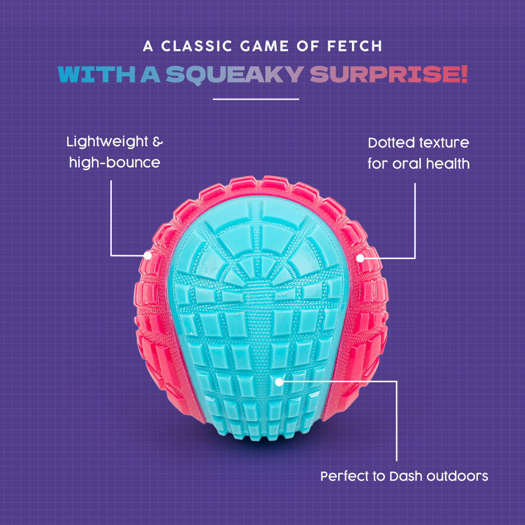 Dash Dog Squeaky Serve Tennis Ball Fetch Toy For Dog - Pink & Turquoise - L