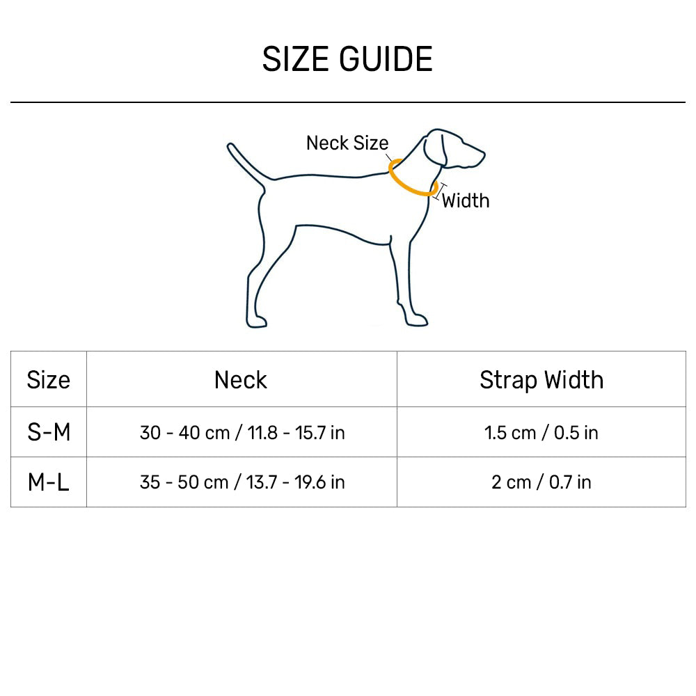 Trixie Premium Stop-The-Pull Collar - Orchid - Heads Up For Tails