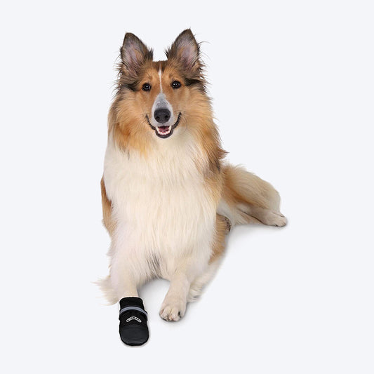 Trixie Walker Care Comfort - Protective Boots for Dogs - 1 Pair ( 2 Boots Covers 2 Paws Only) - Heads Up For Tails