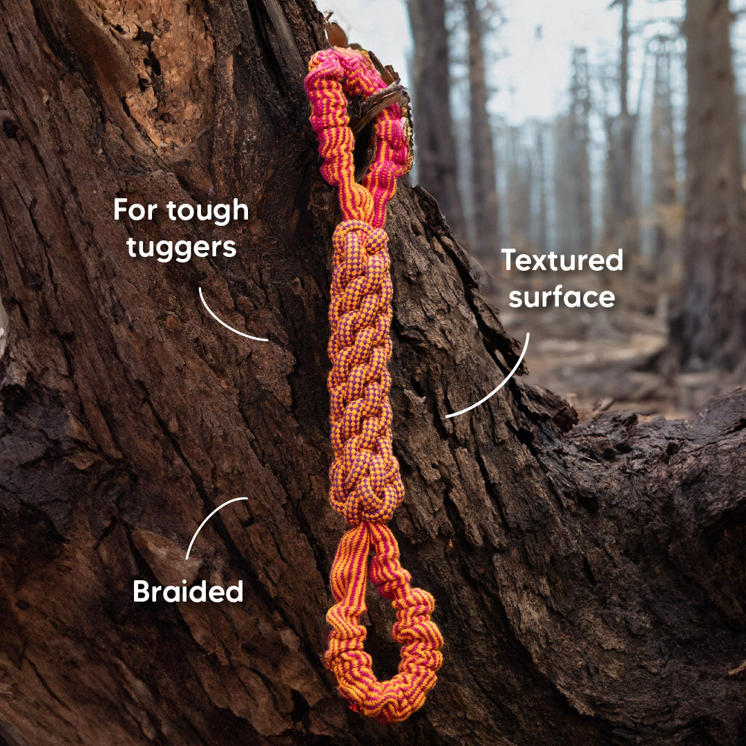 Dash Dog Tug-O-War Bungee Rope Toy For Dog - Orange - Heads Up For Tails