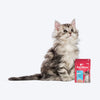 NutriMeow Tuna In Jelly Wet Food For Kitten - 80 gm - Heads Up For Tails