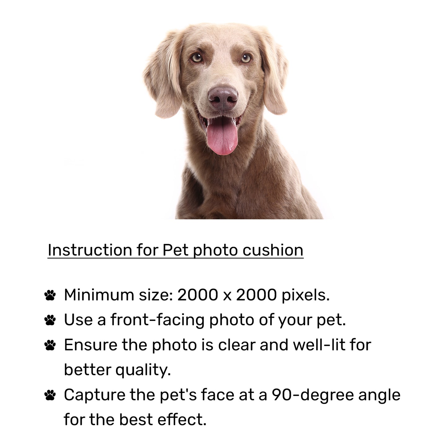 HUFT Personalised Photo Cushion For Dog & Cat - Light Blue - Heads Up For Tails