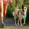 Ruffwear Hi & Light Dog Harness - Blue Atoll - Heads Up For Tails