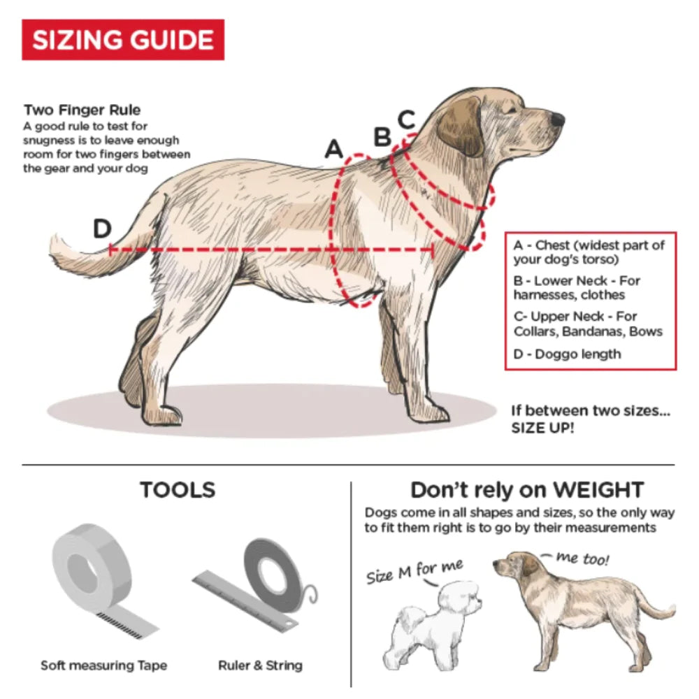 Trixie Premium Nylon Dog Collar, M-L: 35-55cm/ 20mm - Heads Up For Tails