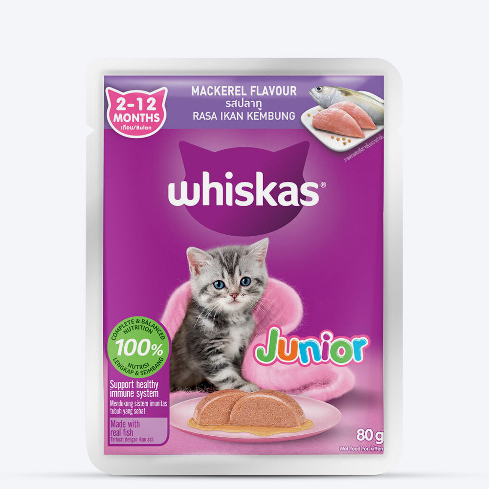 Kitten food in jelly sale