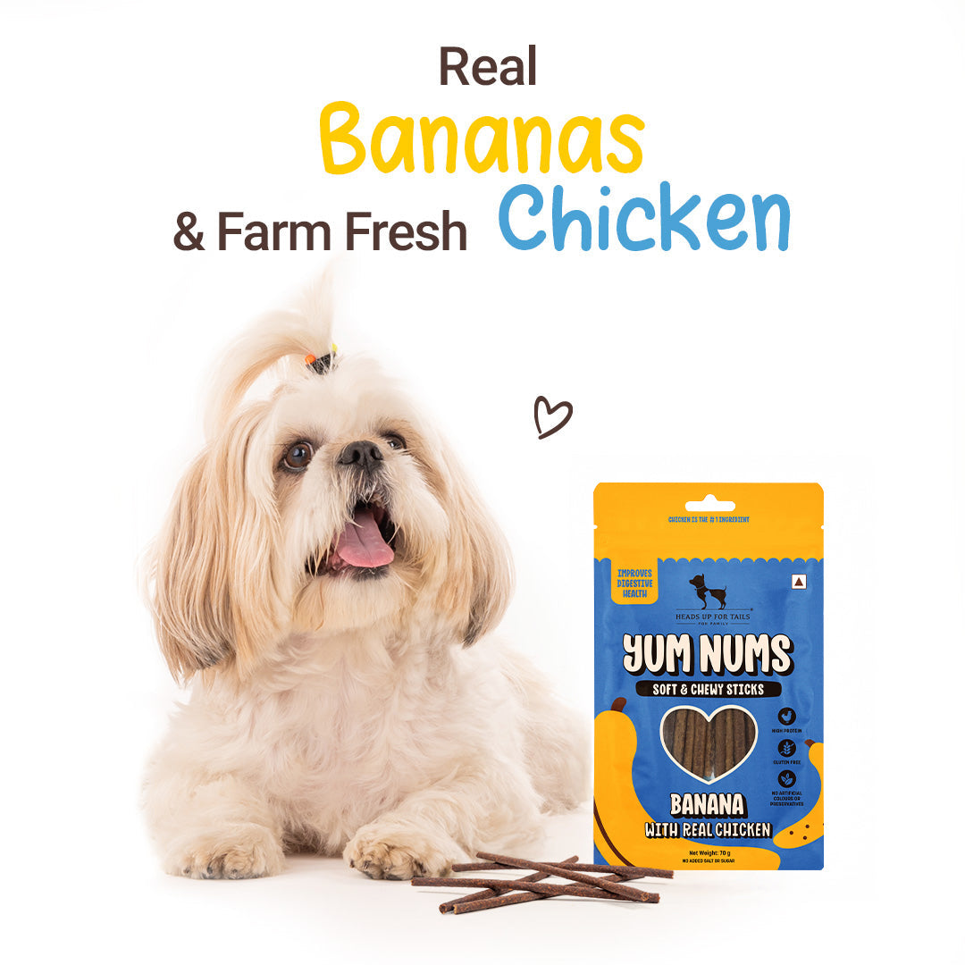HUFT Yum Nums Soft & Chewy Sticks Banana with Real Chicken Treat For Dogs - 70 g - Heads Up For Tails