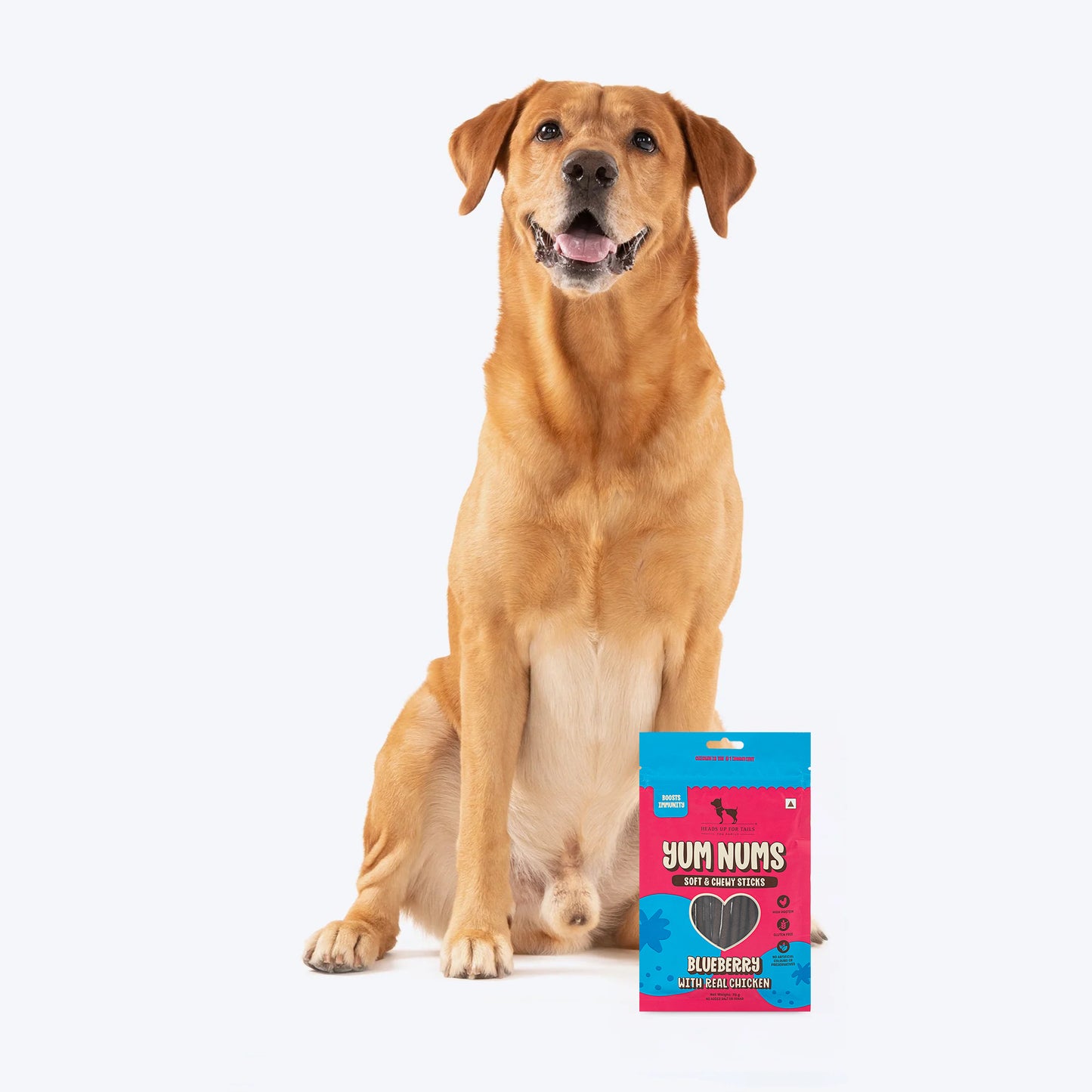 HUFT Yum Nums Dog Treats Soft & Chewy Sticks Blueberry With Real Chicken - 70 gm - Heads Up For Tails