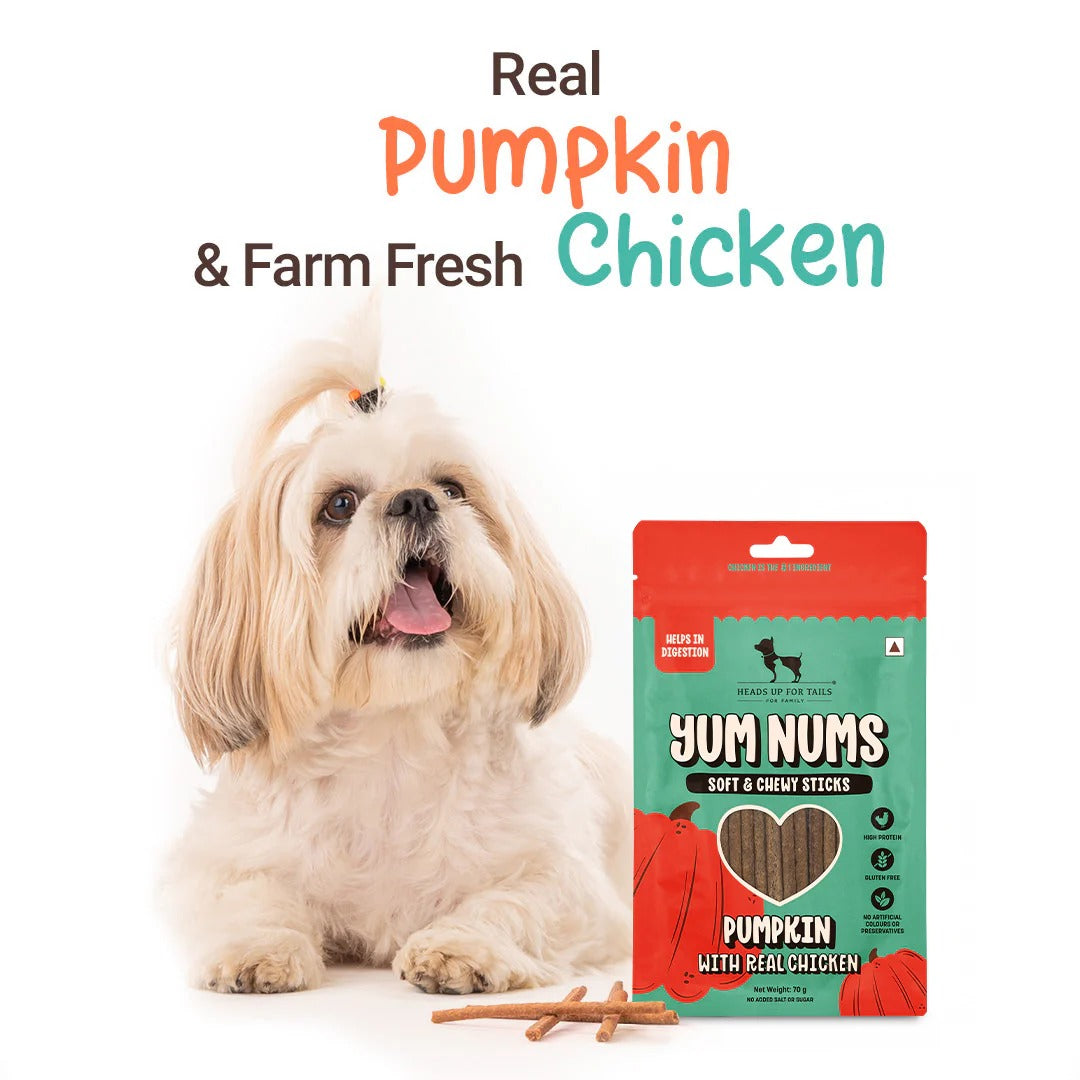 HUFT Yum Nums Soft & Chewy Sticks Pumpkin with Real Chicken Treat For Dogs - 70 g - Heads Up For Tails