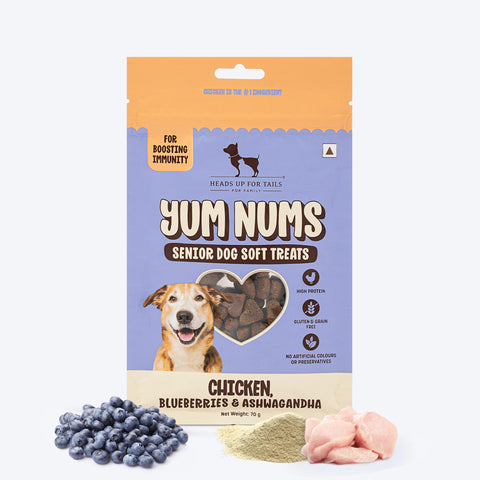HUFT Yum Nums Senior Dog Treats Soft & Chewy Sticks Blueberries & Ashwagandha With Chicken - 70 gm - Heads Up For Tails