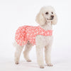 HUFT Daisy Printed Dress For Dog - Coral & White