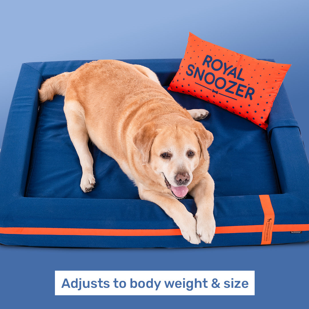 HUFT Royal Snooze Bed for Dog - Navy - Heads Up For Tails