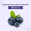 HUFT Goat Milk Dog Cookies - Blueberries - 200 gm - Heads Up For Tails