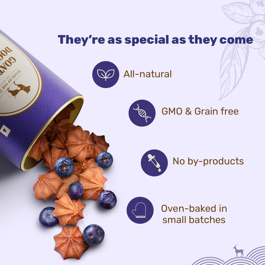 HUFT Goat Milk Dog Cookies - Blueberries - 200 gm - Heads Up For Tails